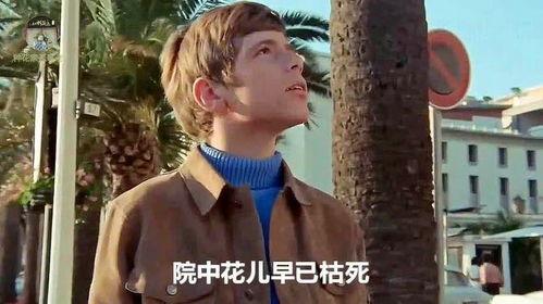 英俊少年在线观看,英俊少年在线观看，演绎青春热血传奇